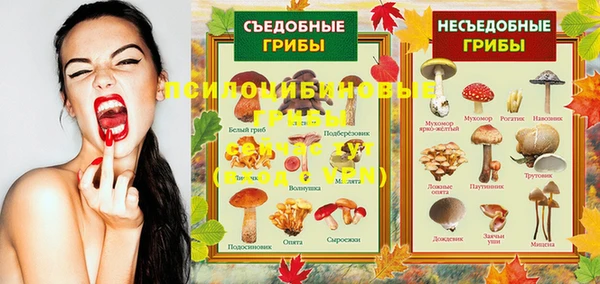 синтетический гашиш Няндома