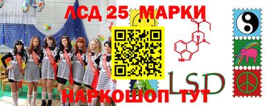 спиды Гусев
