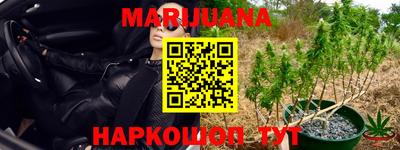спиды Гусев