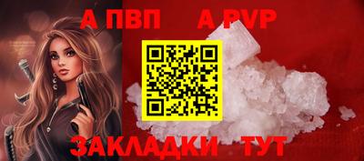 спиды Гусев