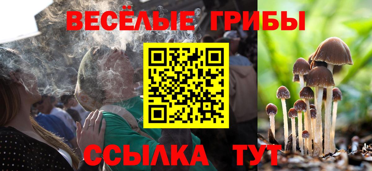 Галлюциногенные грибы ЛСД  Вход с VPN  Тулун  Псилоцибиновые грибы мицелий 