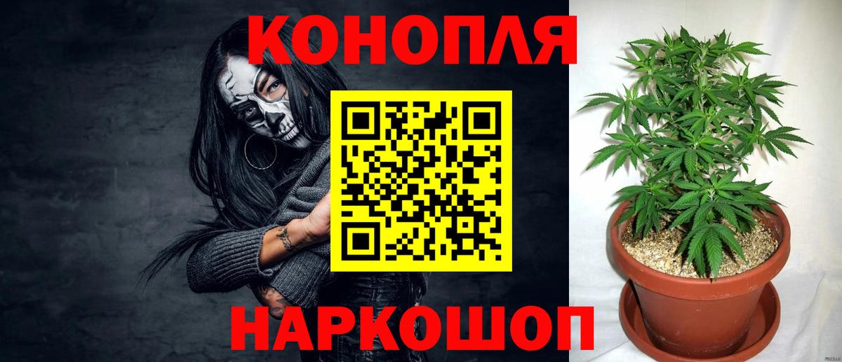 Каннабис Amnesia  Канабис тримм  Вход с VPN  Тулун  Бошки Шишки конопля  Канабис Amnesia 